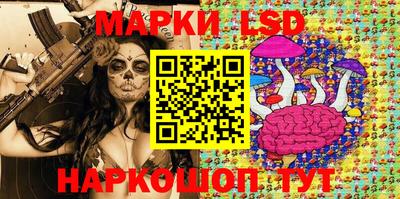 стафф Будённовск