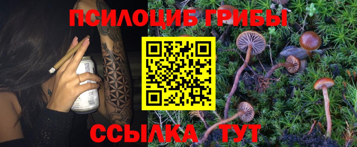 Галлюциногенные грибы ЛСД Полевской